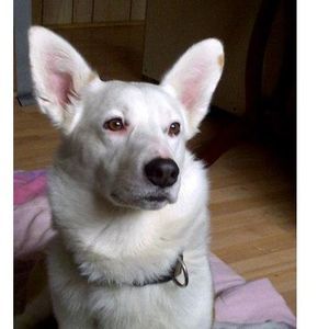 Meet your Posher, Beth